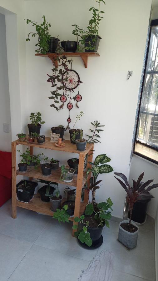 Fique No Bairro Mais Encantador De Salvador - Ba Apartment Bagian luar foto